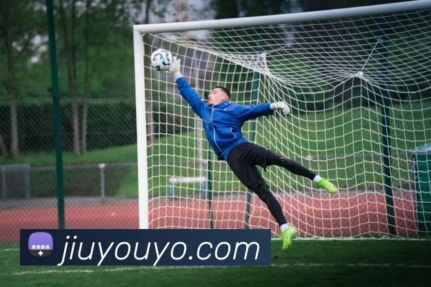 九游体育官网发展历程